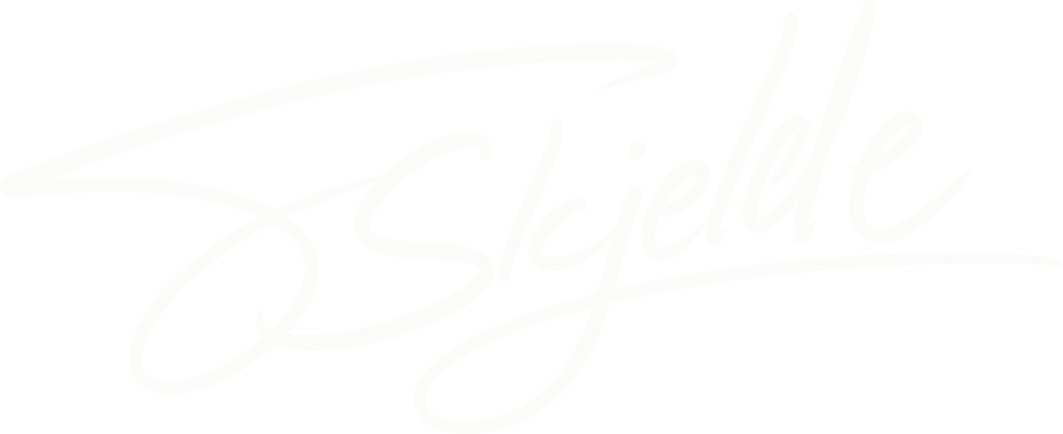 Torbjørn Skjelde